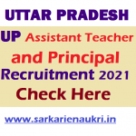 UP Assistant Teacher and Principal Recruitment 2021