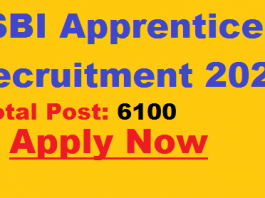 SBI apprentice recruitment 2021